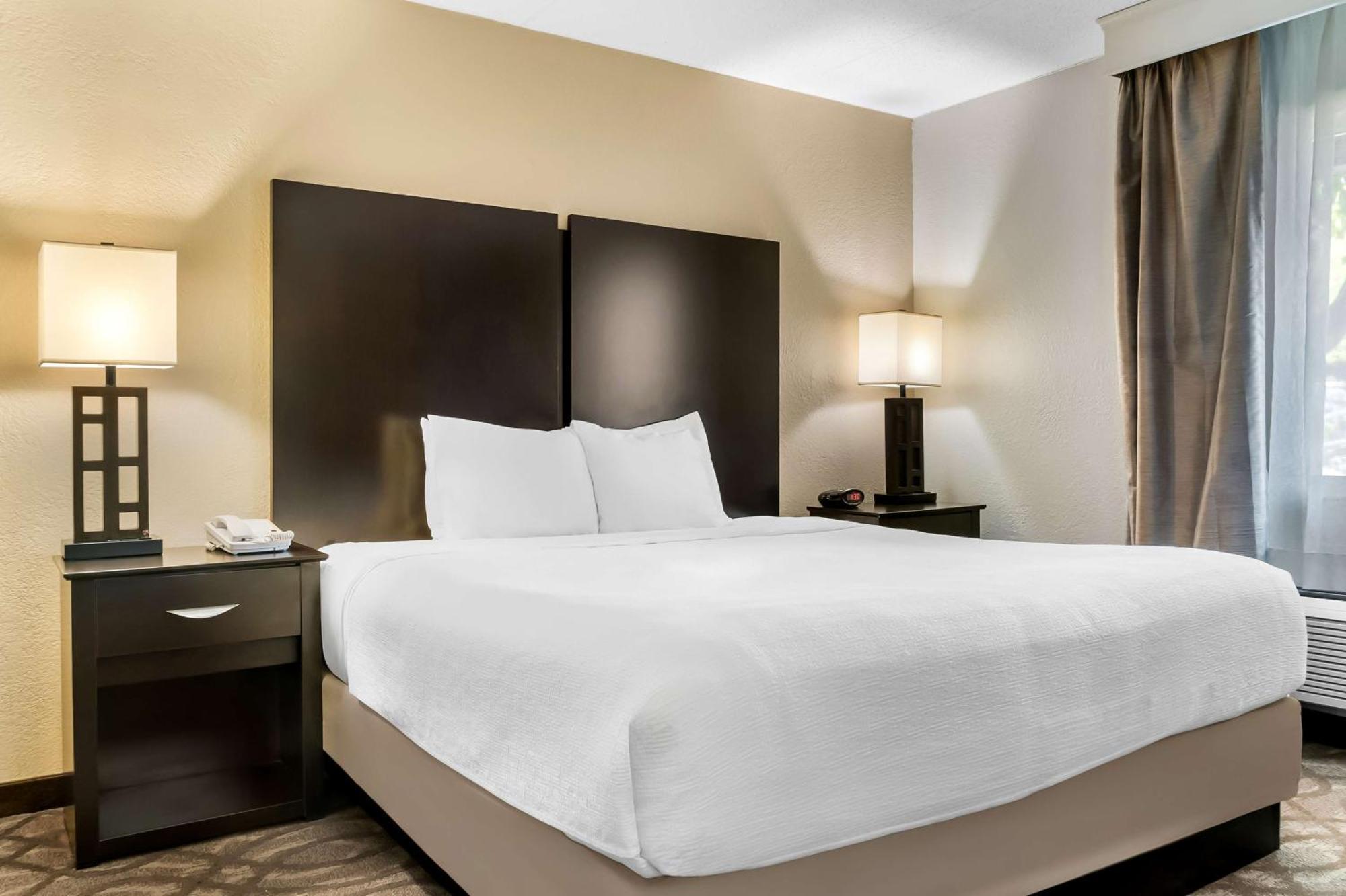 Best Western Okemos/East Lansing Hotel & Suites Bagian luar foto